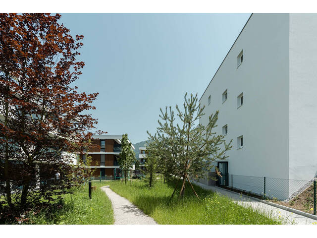 Immobilie in Weerberg - Ihre 2- 3 Zimmerwohnung mit Ausblick- Weerberg Sunnbichl - Bild 2