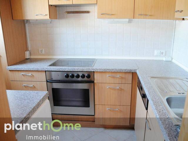 Immobilie in Wimpassing an der Leitha - Den Sonnenuntergang betrachten und die Füße im See kühlen - Bild 3