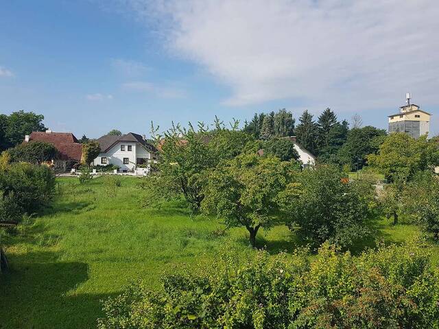 Immobilie in Walkersdorf am Kamp - STILVOLL WOHNEN IM HERRENHAUS IN HERRLICHER GRÜNRUHELAGE UNWEIT SCHLOSS GRAFENEGG - Bild 2