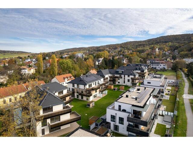 Immobilie in Bisamberg - Reizende 2-Zimmer Gartenwohnung - Bild 2