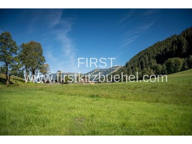 Immobilie in Jochberg - Timeless - Bild 1