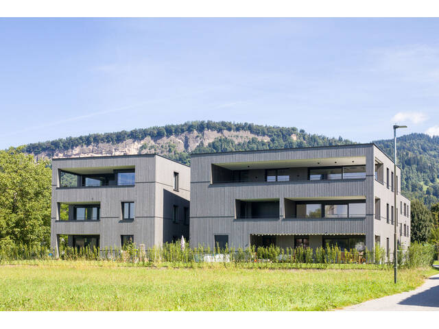 Immobilie in Wolfurt - 4-Zimmer-Terrassenwohnung W13 in Wolfurt! - Bild 0