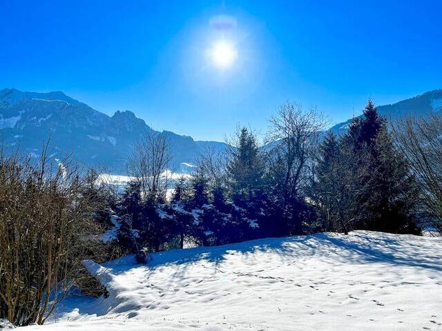 Immobilie in Ardning - Alleinlage: Historisches Kleinod mit Weitblick - Bild 2