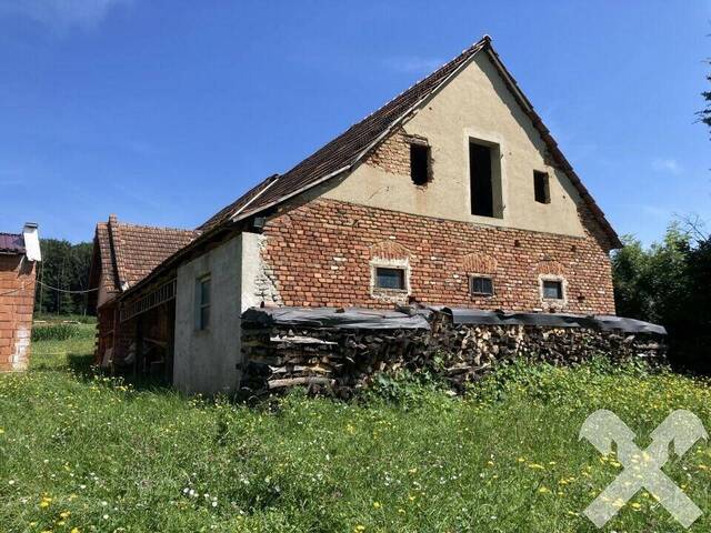 Immobilie in Lödersdorf - Rohbau mit Nebengebäude und großzügigem Baulandgrundstück Nähe Feldbach - Bild 3