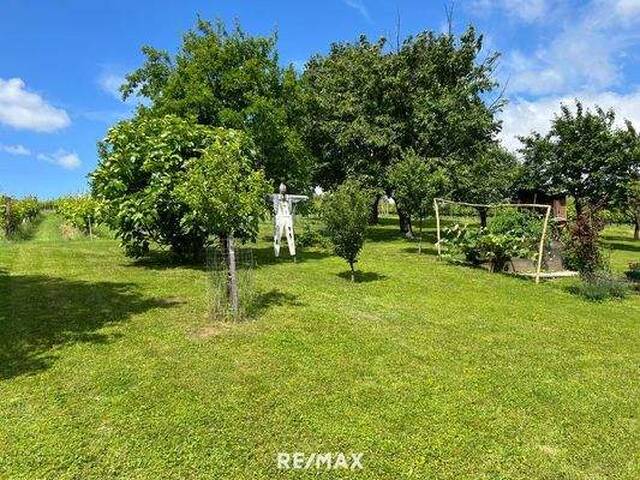 Immobilie in Eisenberg an der Pinka - Romantischer Weinkeller mit Charme, Geschichte und Weingarten in traumhafter Ruhelage - Eisenberg/Südburgenland - Bild 4