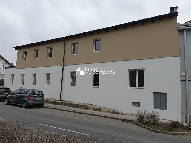 Immobilie in Bad Fischau - Mehrfamilienhaus mit 3 Wohneinheiten - Bild 0