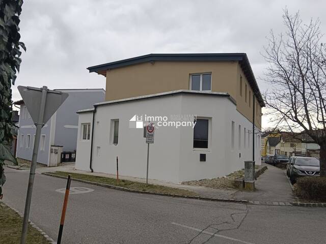 Immobilie in Bad Fischau - Mehrfamilienhaus mit 3 Wohneinheiten - Bild 1