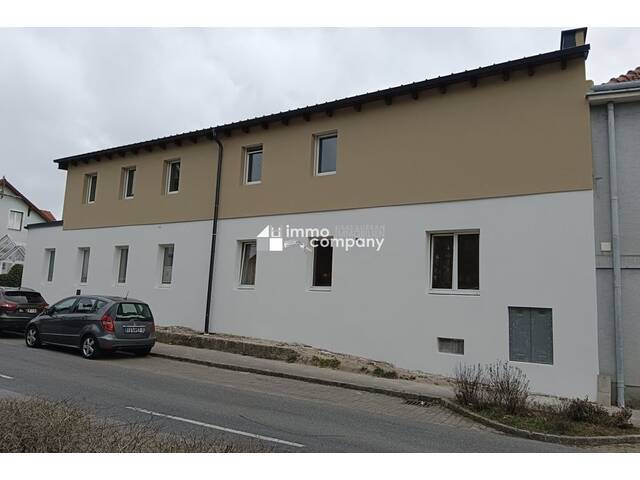 Immobilie in Bad Fischau - Mehrfamilienhaus mit 3 Wohneinheiten - Bild 3