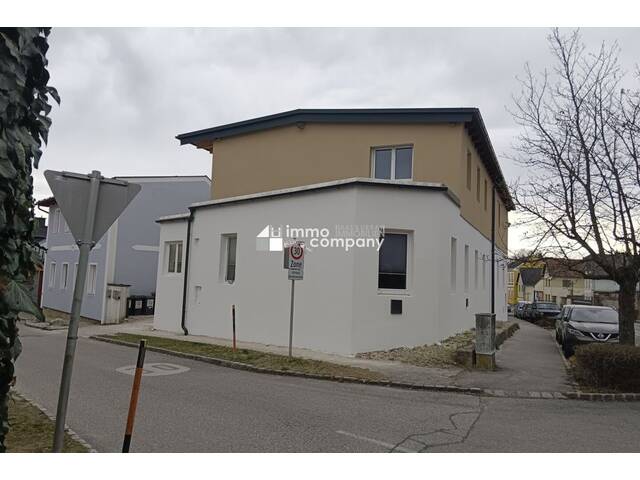 Immobilie in Bad Fischau - Mehrfamilienhaus mit 3 Wohneinheiten - Bild 4