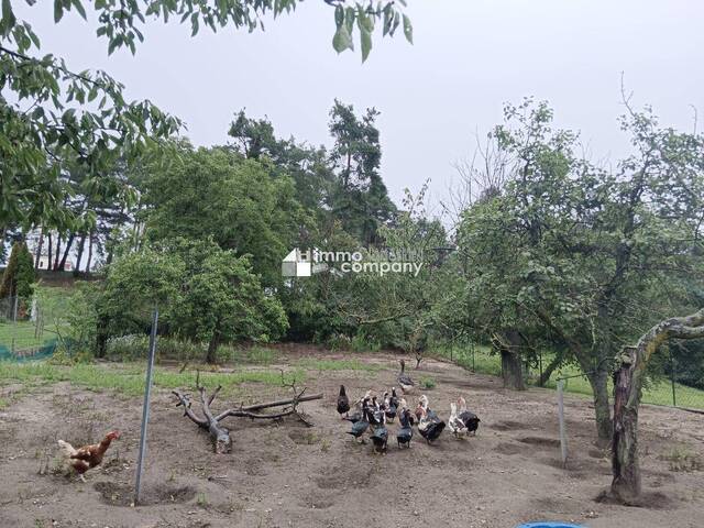 Immobilie in Lackendorf - Das Landleben genießen - Bild 1