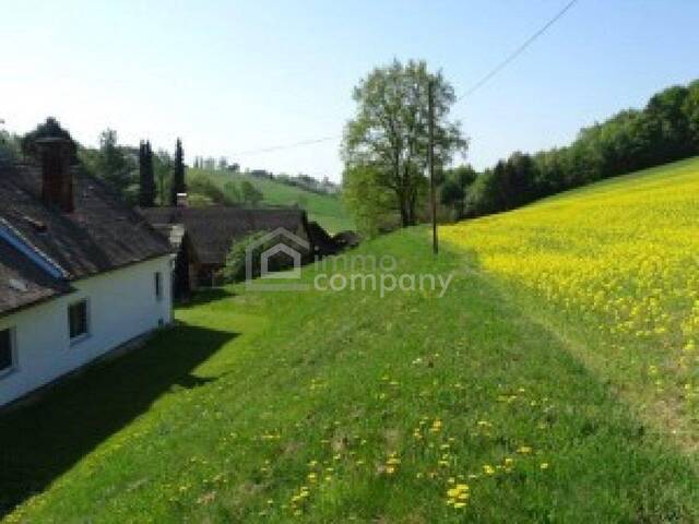 Immobilie in Jennersdorf - Zwei Bauernhäuser – knapp 6 ha arrondierter Grund – Zusammen in Einzellage - Bild 1