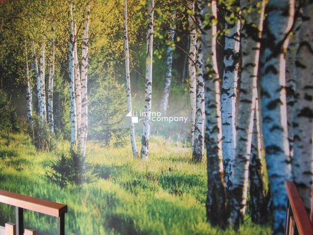 Immobilie in St. Nikola an der Donau - TOP PREIS ! - Ein Schnäppchen für Kenner !! - Bild 0