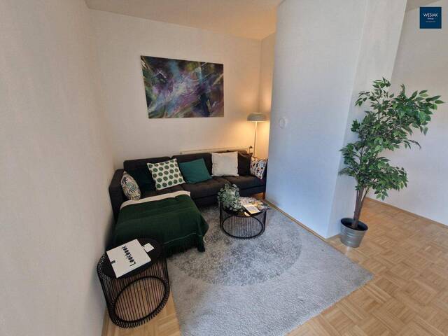 Immobilie in Feldkirchen bei Graz - Sanierte Wohnung in Feldkirchen – provisionsfrei, modern & haustierfreundlich - Bild 1