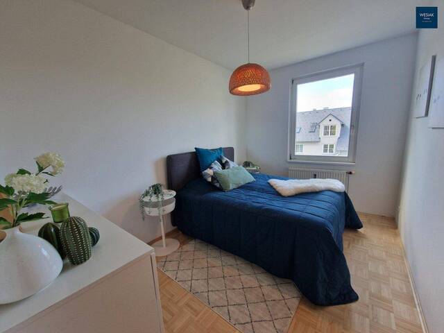 Immobilie in Feldkirchen bei Graz - Sanierte Wohnung in Feldkirchen – provisionsfrei, modern & haustierfreundlich - Bild 4