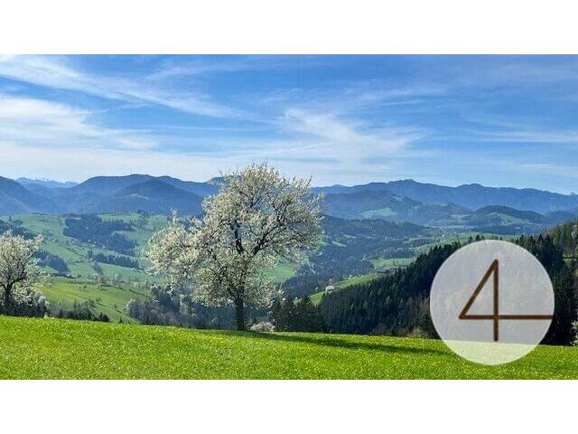 Immobilie in Perwarth - Niedrigenergie-Doppelhaushälfte - individuell planbar - Lehm für Ihre Wohngesundheit - Bild 2