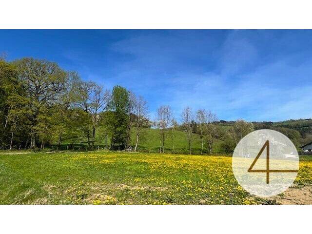 Immobilie in Perwarth - Niedrigenergie-Doppelhaushälfte - individuell planbar - Lehm für Ihre Wohngesundheit - Bild 3