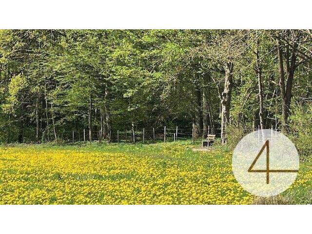 Immobilie in Perwarth - Niedrigenergie-Bungalow - individuell planbar - Lehm für Ihre Wohngesundheit - Bild 1