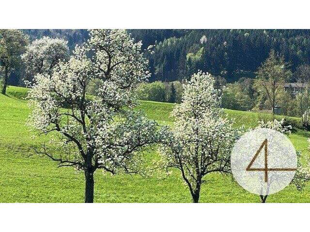 Immobilie in Perwarth - Niedrigenergie-Bungalow - individuell planbar - Lehm für Ihre Wohngesundheit - Bild 2