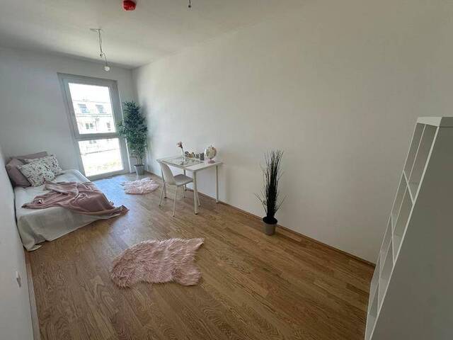 Immobilie in Lanzendorf - einen Katzensprung von Wien entfernt - Bild 4