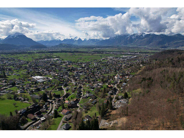 Immobilie in Klaus - Einfamilienhaus / Studie in Hanglage mit idyllischem Ausblick und Wald in Klaus - Bild 2
