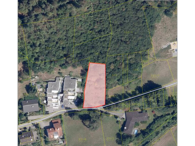 Immobilie in Klaus - Einfamilienhaus / Studie in Hanglage mit idyllischem Ausblick und Wald in Klaus - Bild 4