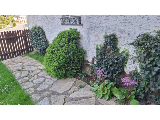 Immobilie in Breitenfurt bei Wien - 2384 Breitenfurt bei Wien| großzügiges LANDHAUS 178 m²|ruhige, idyllische & naturnahe Lage - Bild 2