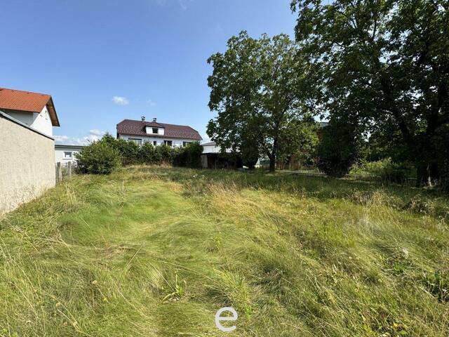 Immobilie in Wels - Großfamilien aufgepasst! Mehrfamilienhaus mit großzügigem Grundstück in Wels/Pernau! - Bild 2