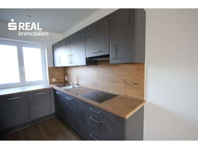 Immobilie in Ybbs an der Donau - Neue Wohnhausanlage mit 7 Reihen- und 4 frei stehenden Wohnhäusern in Ybbs an der Donau - Bild 4