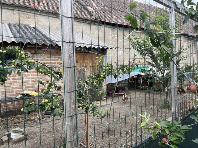 Immobilie in Obritz - Ruhelage, Klimaanlage, gewaltiger Wohnraum! - Bild 2