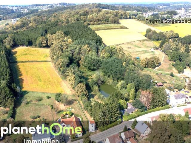Immobilie in Stegersbach - Direkte Thermennähe in Stegersbach – Traumobjekt mit Altbestand, Fischteich und Wald - Bild 0