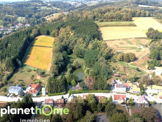 Immobilie in Stegersbach - Direkte Thermennähe in Stegersbach – Traumobjekt mit Altbestand, Fischteich und Wald - Bild 1