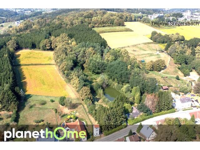Immobilie in Stegersbach - Direkte Thermennähe in Stegersbach – Traumobjekt mit Altbestand, Fischteich und Wald - Bild 3