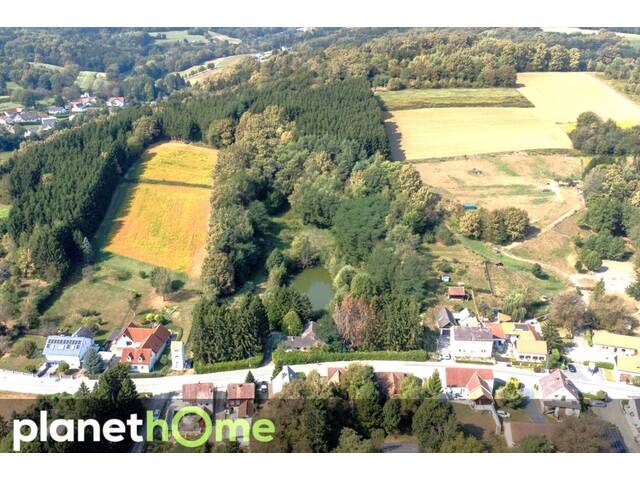 Immobilie in Stegersbach - Direkte Thermennähe in Stegersbach – Traumobjekt mit Altbestand, Fischteich und Wald - Bild 4