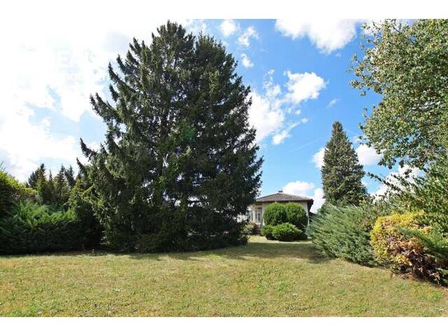 Immobilie in Lockenhaus - Sonnenland Burgenland! Traumhafter Bungalow mit Vollkeller und Carport in toller Lage! - Bild 0