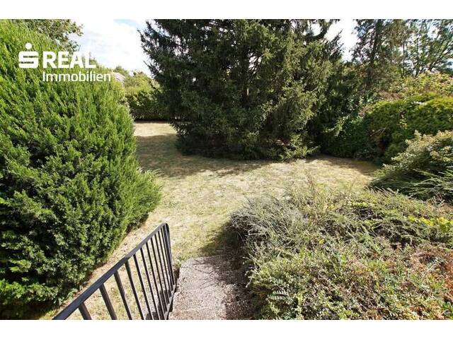 Immobilie in Lockenhaus - Sonnenland Burgenland! Traumhafter Bungalow mit Vollkeller und Carport in toller Lage! - Bild 3