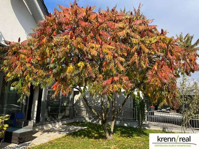 Immobilie in Neuzeug - Hochwertiges Einfamilienhaus mit elegantem Wintergarten und gepflegtem Grund! - Bild 1