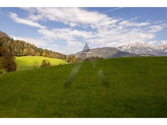 Immobilie in Söll - Neubauwohnungen für Anleger & Eigennutzer in Toplage - Söll - Bild 4