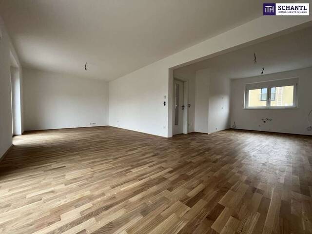 Immobilie in Rohrbach - Rohrbach! Neubau-Doppelhaushälften! Garten, Keller, Carport uvm. - Bild 0