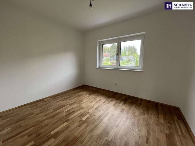 Immobilie in Rohrbach - Rohrbach! Neubau-Doppelhaushälften! Garten, Keller, Carport uvm. - Bild 1