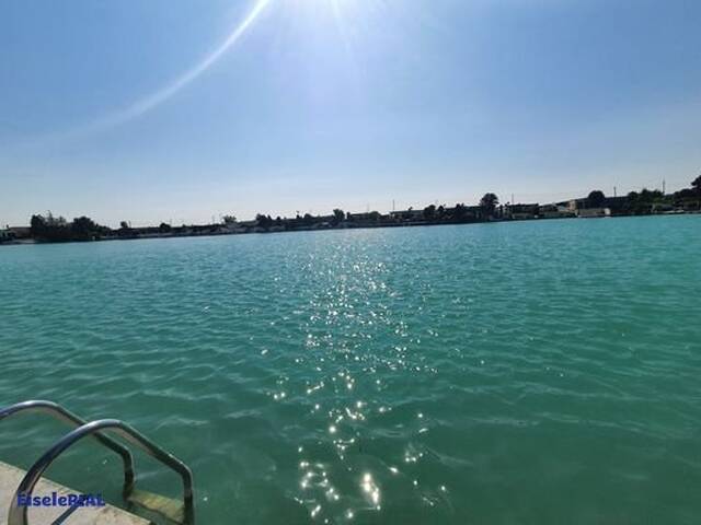 Immobilie in Velm - Beim SEE - Im SEE - WIE man WILL!! - Bild 0