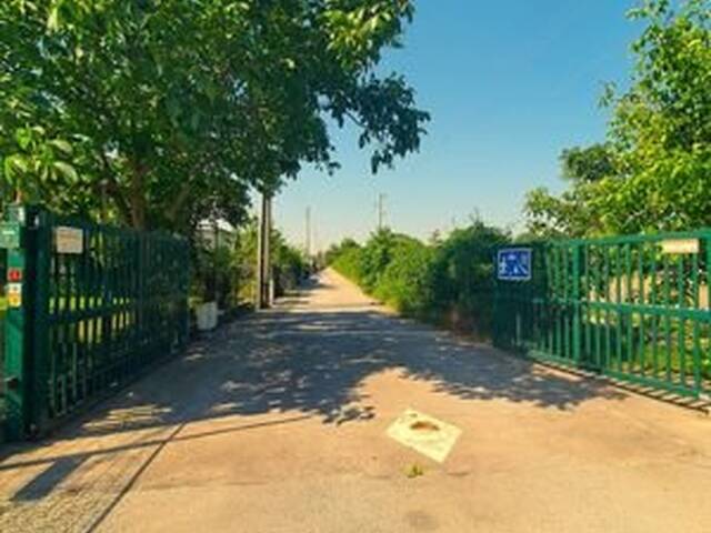 Immobilie in Velm - Beim SEE - Im SEE - WIE man WILL!! - Bild 1