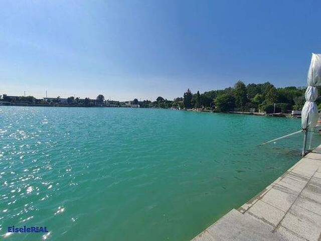 Immobilie in Velm - Beim SEE - Im SEE - WIE man WILL!! - Bild 4