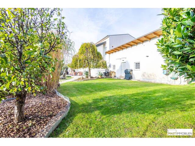 Immobilie in Podersdorf am See - *NEU* Einzigartiges Einfamilienhaus mit 422 m2 Nutzfläche - Trennung auf 2 Wohneinheiten möglich! - Bild 2