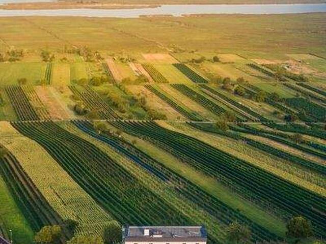 Immobilie in Mörbisch am See - NEUER PREIS! Hochwertige Erstbezugswohnungen mit exklusivem Seeblick in Mörbisch - Bild 3