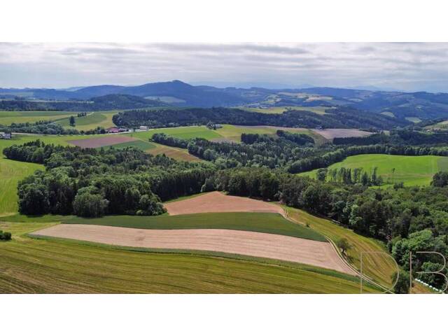 Immobilie in Wiesmath - DB IMMOBILIEN | Ruhe, Platz und Entfaltungsmöglichkeiten gesucht?? - Bild 1