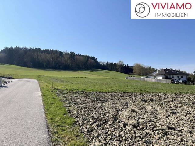 Immobilie in Kematen am Innbach - Exklusives Architektenhaus in Kematen am Innbach! - Bild 2