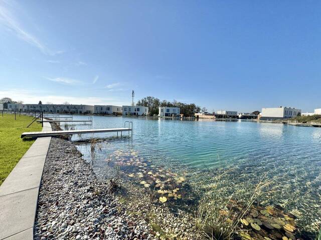 Immobilie in Grafenwörth - SONNENWEIHER - HOCHWERTIGES DOPPELHAUS AM SEE + GARTEN - Bild 2
