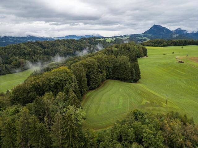 Immobilie in Hof bei Salzburg - Triada Hof3Z-Wohnung Dachgarten Wohnbauförderung möglich! - Bild 2