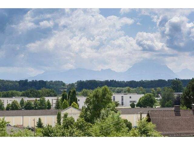 Immobilie in Schwanenstadt - Modernes Wohnen mit Traunsteinblick Top 3/EG - Bild 3