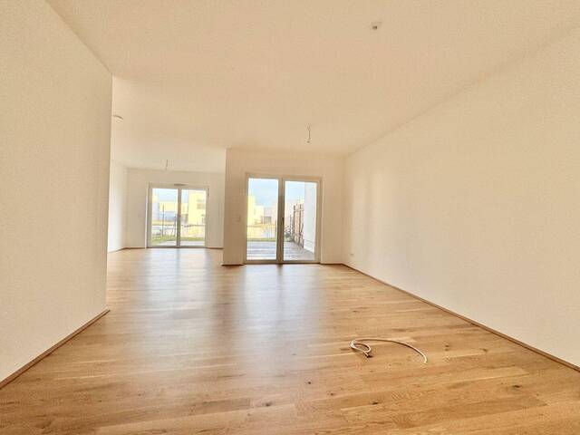 Immobilie in Grafenwörth - SONNENWEIHER - HOCHWERTIGES REIHENHAUS AM SEE + GARTEN - Bild 1